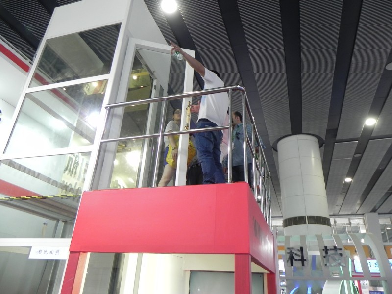 OTSE new design 250kg small home elevator lift for 2 person