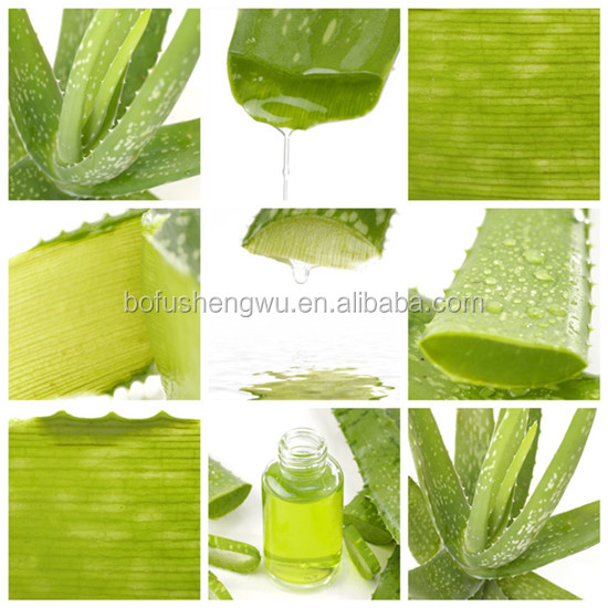 solvent extraction aloe vera extract/aloe vera extract /cas no:1415-73-2/aloe vera extract raw