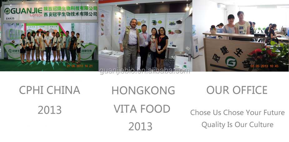 GMP Natural Cocoa Powder For Food Grade