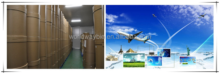 Free testing sample KOSHER HACCP GMP certify manufacturer supply food grade piperine black pepper extract piper nigrum l