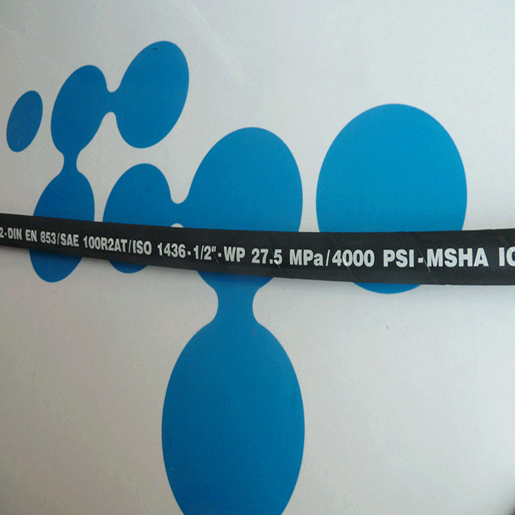TR-HOSE-P1020267_.jpg
