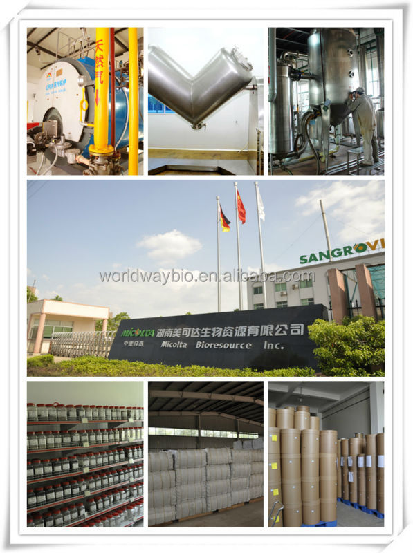 free sample GMP manufacturer tea polyphenol catechin EGCG green tea powder