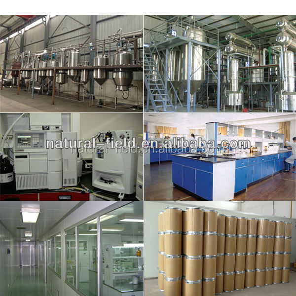 100% natural marigold extract zeaxanthin