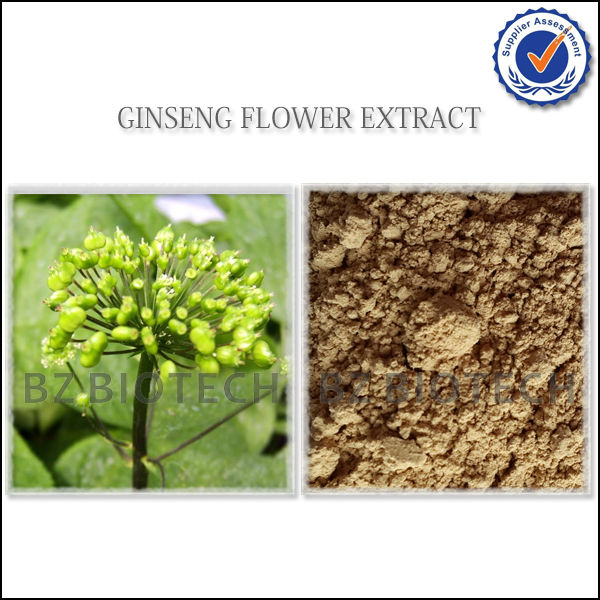 KOREAN RED GINSENG EXTRACT POWDER FOR TEA,WATER SOLUBLE GINSENG EXTRACT POWDER