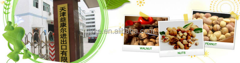 new crop walnut kernel AAA grade