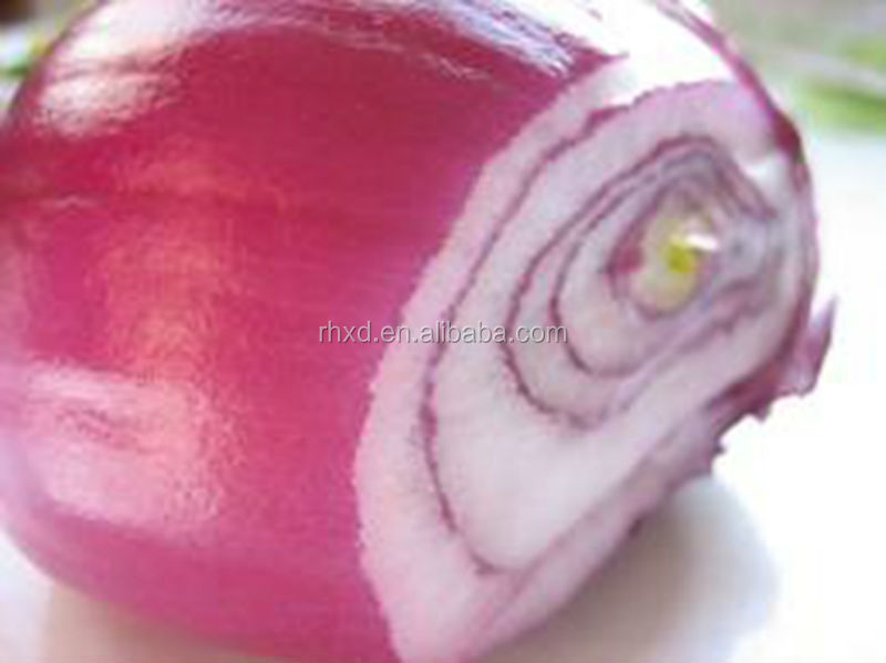 2014 new crop fresh red onions for sale