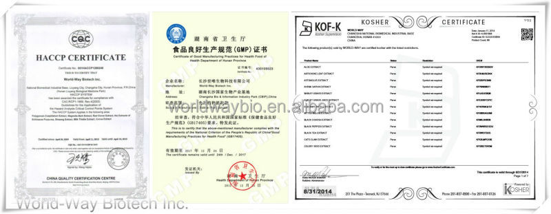 free sample GMP manufacturer tea polyphenol catechin EGCG green tea powder