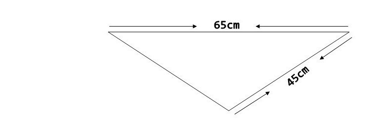 История основания Всесоюзной пионерской организации