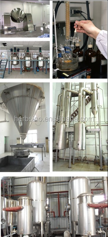 cinnamon bark extract polyphenols