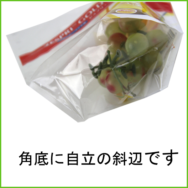 チャック付フルーツパッケージ問屋・仕入れ・卸・卸売り