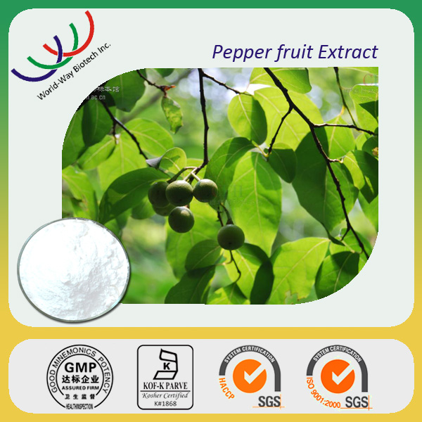 Free sample 10% piperine High quality black pepper extract/black pepper fruit p.e