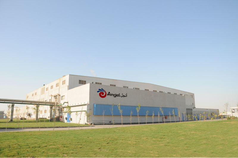 The Angel Yeast factory in Egypt.jpg