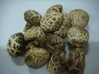 canned whole button mushroom