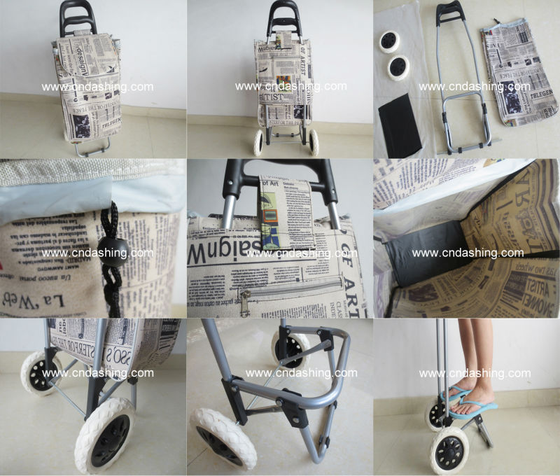 Shopping trolley-2.jpg