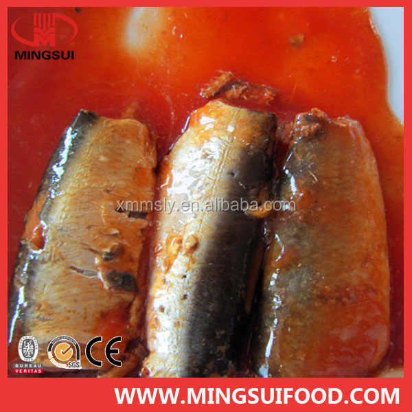 Canned Saridine/Canned mackerel/Canned Tuna/Canned fish