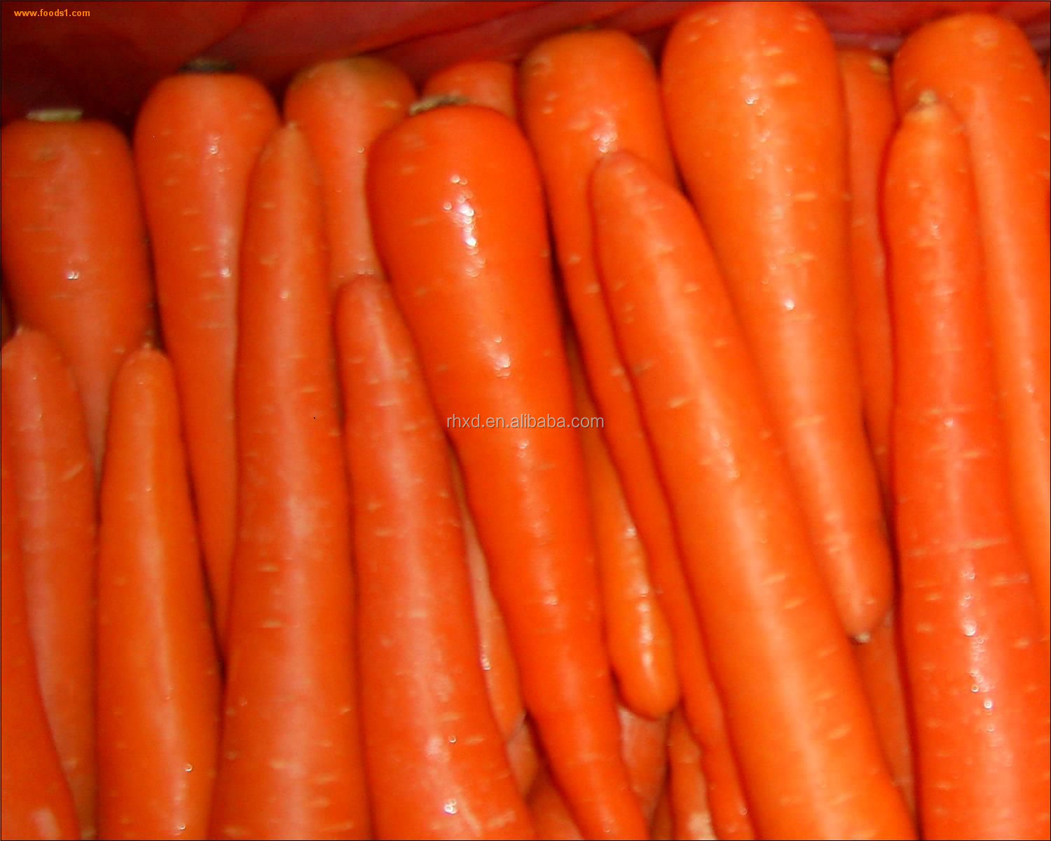 2014 new crop specifications of fresh carrots