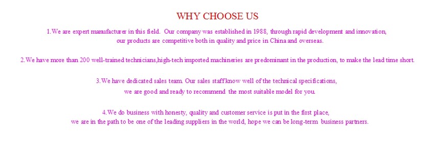 WB series cycloidal Speed reducer for Food machinery small black pepper flavored snacks food machine