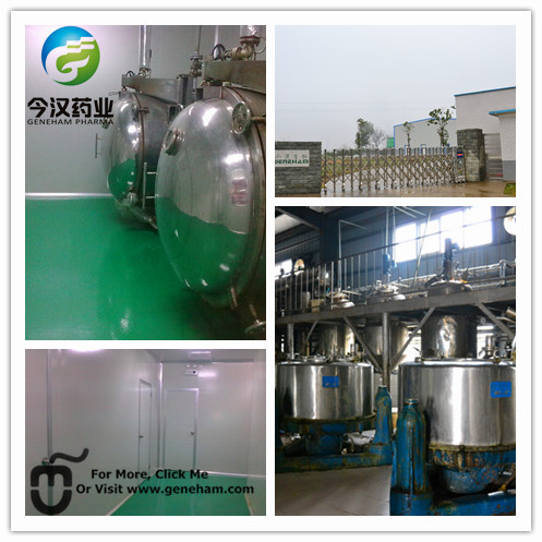 Rosemary Extract Ursolic Acid