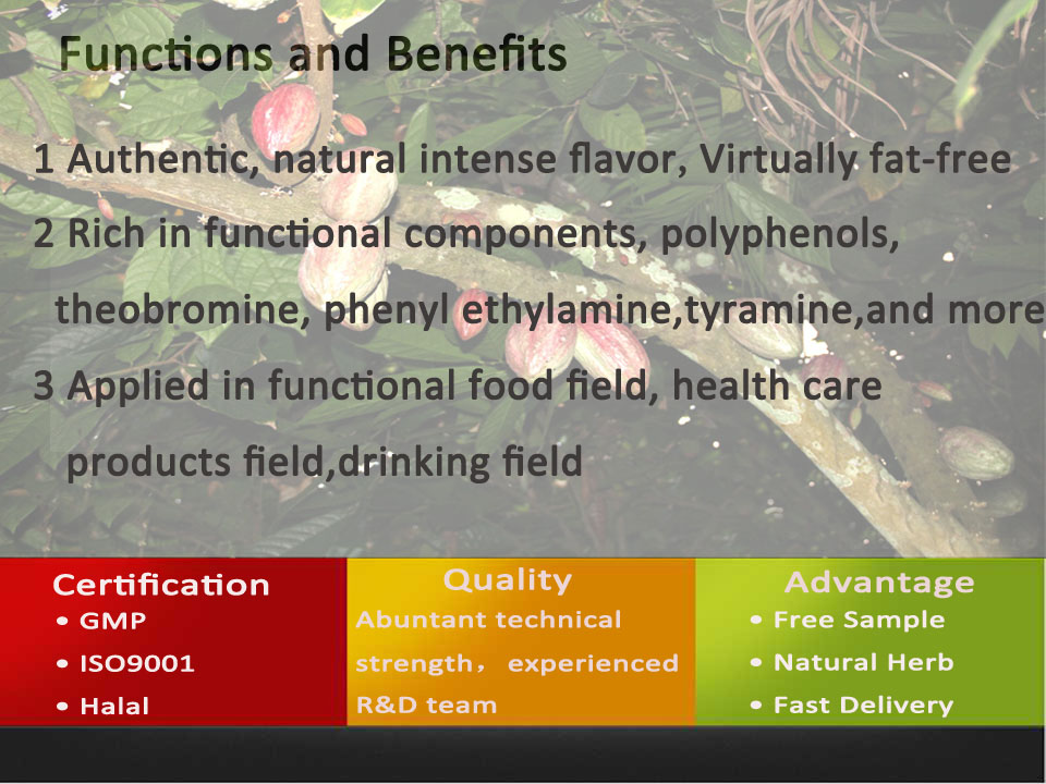 Cocoa Powder/Natural Cocoa Powder/Pure Cocoa Powder