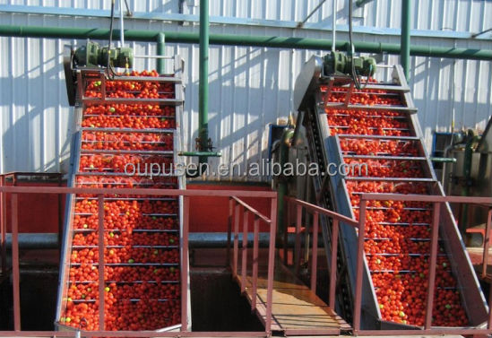 Tomato Paste Tomato Sauce 28-30% in Drum