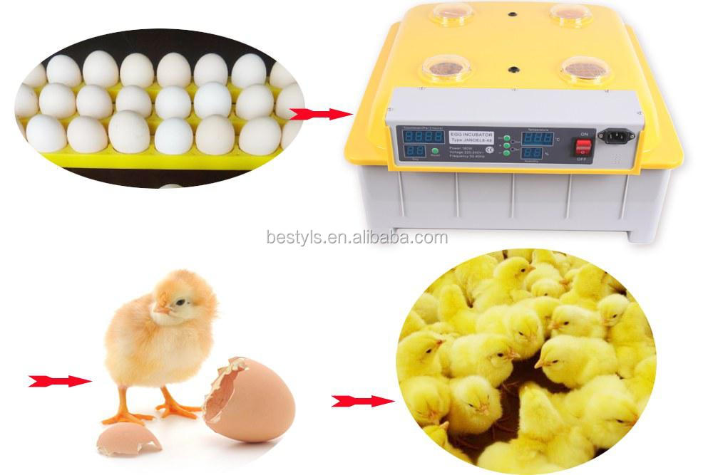 New design Egg Incubator JANOEL8-48 with Multi- functional egg tray CE 