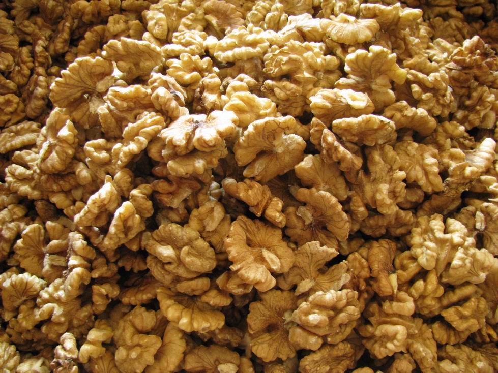 wild walnut in shell in Dongbei(30 up)