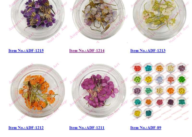 ドライフラワーネイル天然植物小さな飾る記事12少しカラーボックス、 乾燥された花の梅の花の卸売爪の装飾 問屋・仕入れ・卸・卸売り