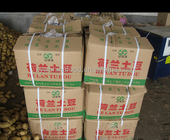 Fresh onion and potato enjoying great popularity with high quality in 2014