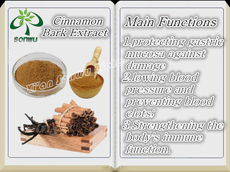 High Quality Cinnamon bark extract/cinnamaldehyde/eugenol