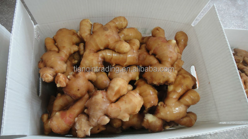 2014 Fresh Ginger and Air Dry Ginger in China, New Ginger
