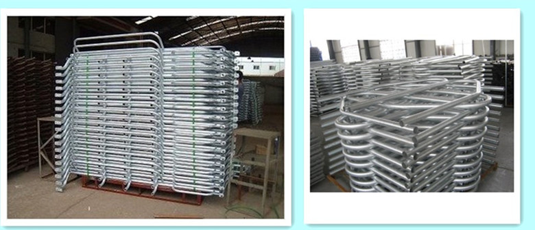 packaging_