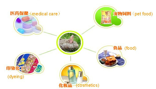 Konjac noodles/knots without wheat or corn