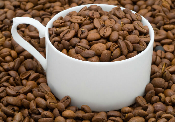 Theobroma cacao L . extract 10% 20% cocoa Theobromine powder