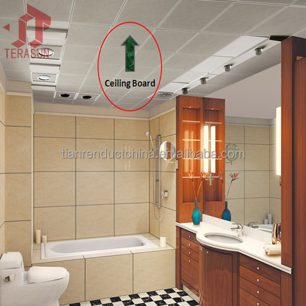 Ce Approval Lightweight Fireproof Outdoor Ceiling Suspended