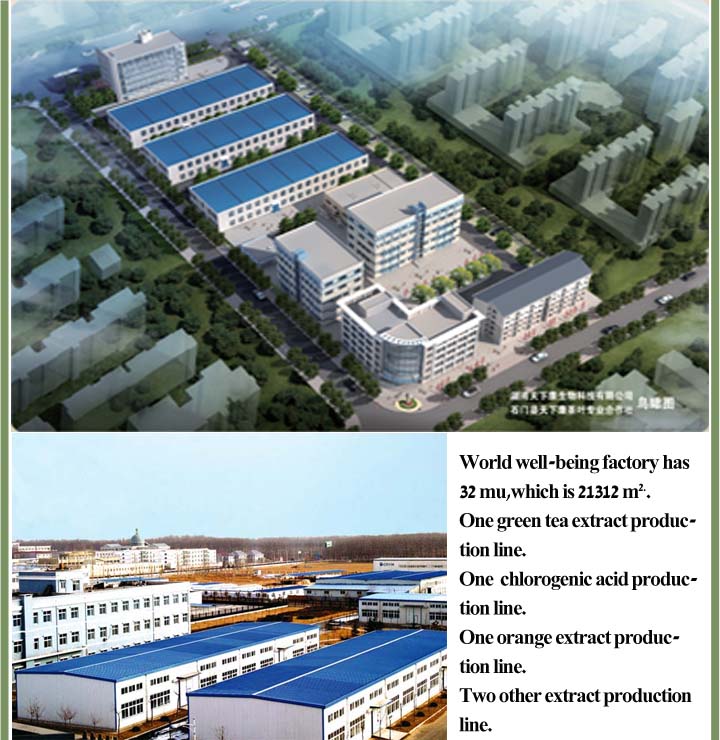 aloe vera extract emodin /high quality emodin / emodin p.e.