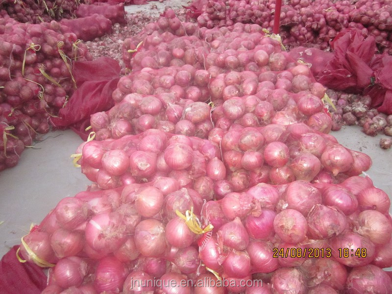2014 new crop 10-25kg mash bags 5-12cm wholesale onion