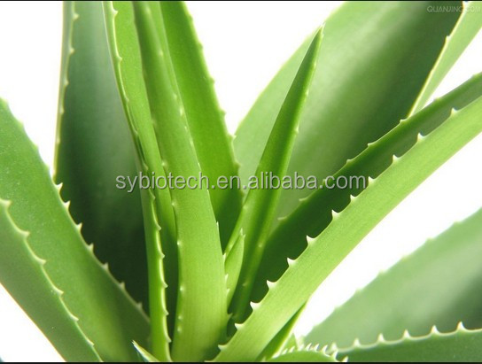 aloes extract(aloin), 100% Natural Aloe Vera Extract,Natural Aloe Vera Extract Powder,Aloe Vera Extract Aloin