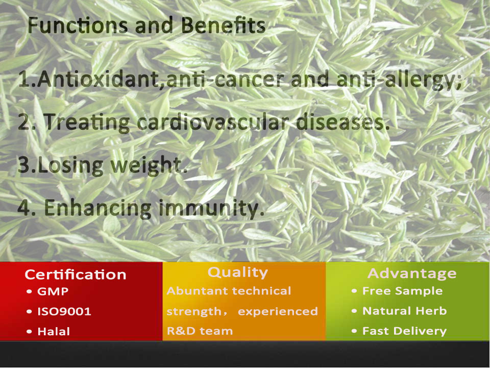 tea powder/Organic Matcha/uji matcha green tea powder
