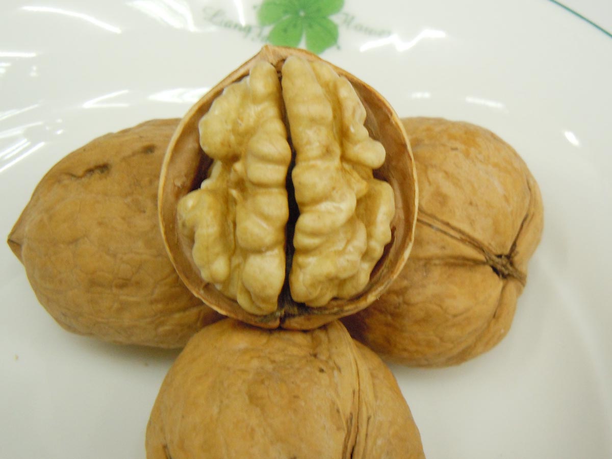 Light Color Walnut