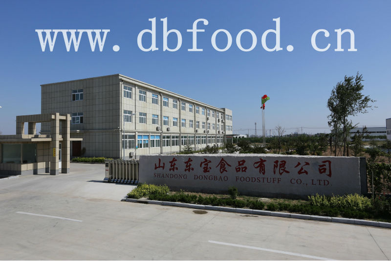 High Quality,Best Price,A grade garlic powder garlic granules garlic flake from jinxiang