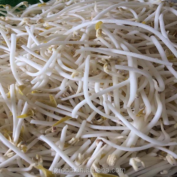 frozen mung bean sprouts rest assured