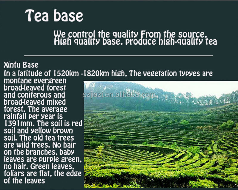 refine chinese tea