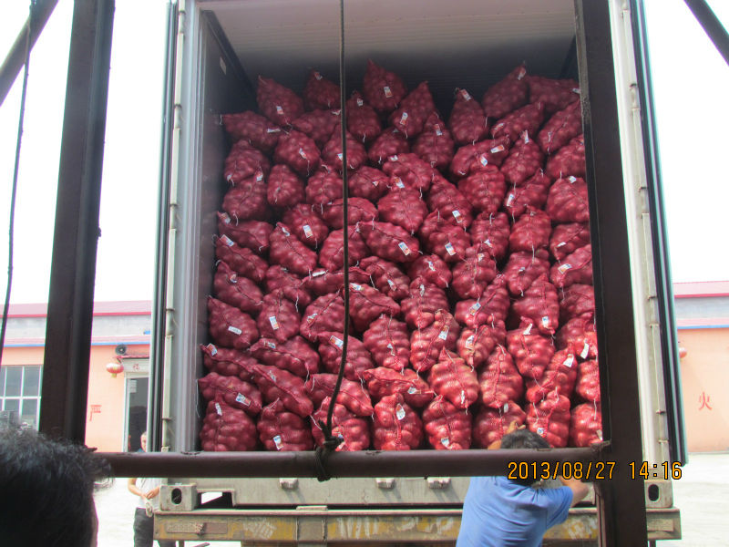2014 new corp fresh small onions