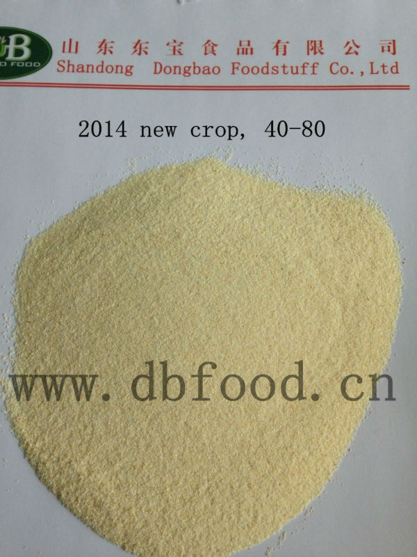 Dry garlic granule 8-16 mesh from factory with BRC GAP KOSHER HACCP