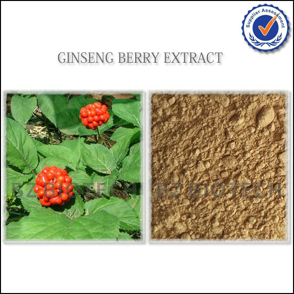 KOREAN RED GINSENG EXTRACT POWDER FOR TEA,WATER SOLUBLE GINSENG EXTRACT POWDER