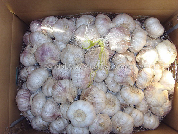 wholesale garlic price export to dubai