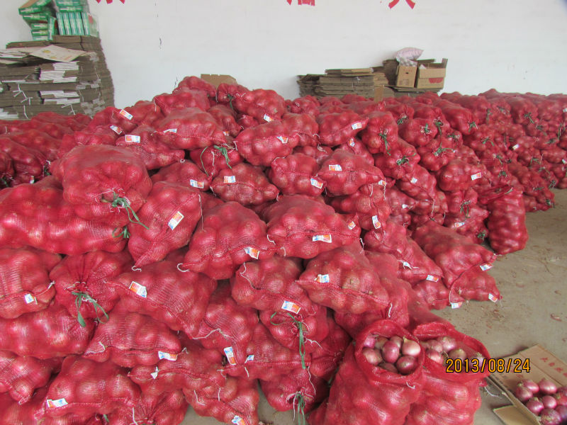 2013 new crop fresh red onion