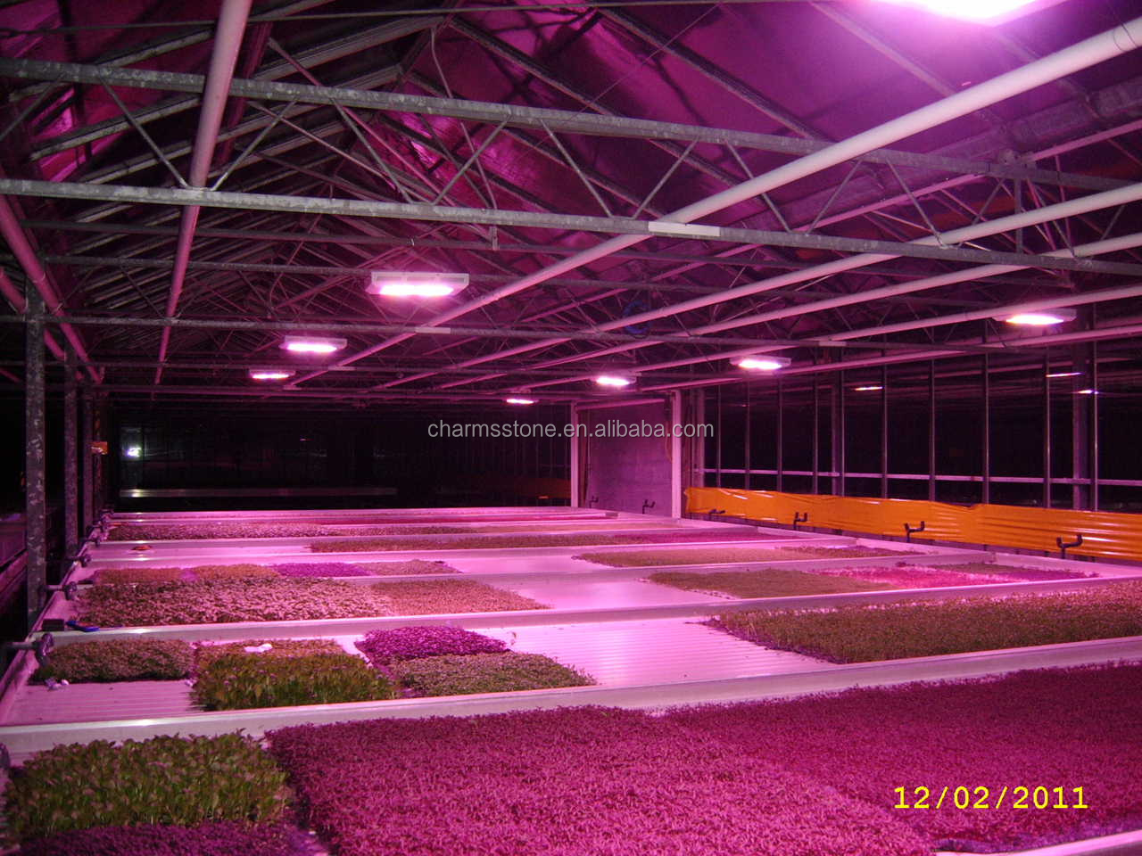 高効率的な植物が育つためにはライトを育てる導か問屋・仕入れ・卸・卸売り