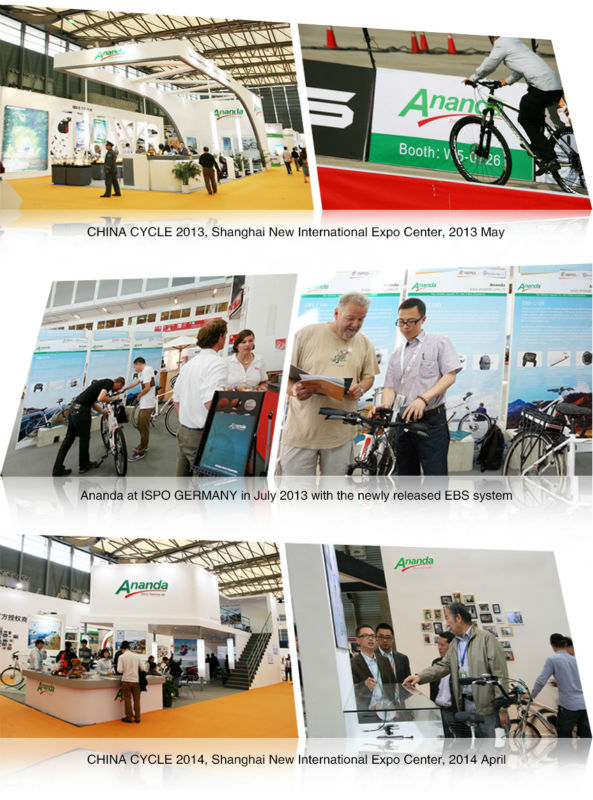 exhibition electric bike