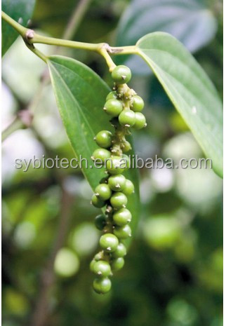 piperine of 95% extract , Natural Black Pepper Extract/Piperine 90%-98%